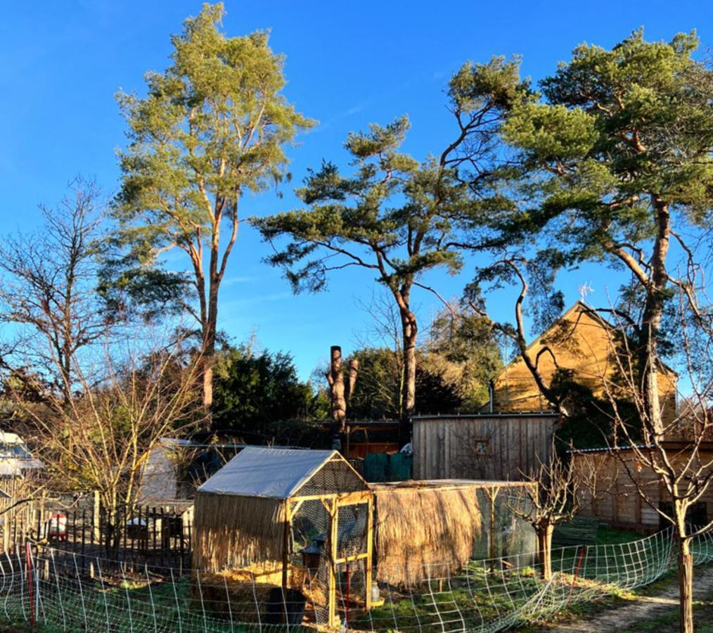 Ecolodge Beauregard Treigny Exteriér fotografie