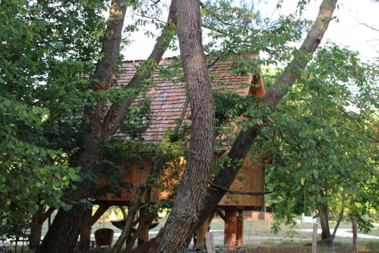Ecolodge Beauregard Treigny Exteriér fotografie