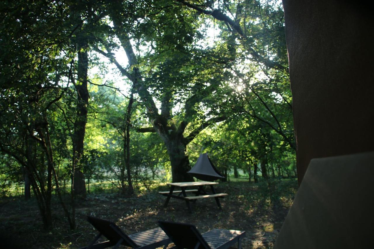 Ecolodge Beauregard Treigny Exteriér fotografie