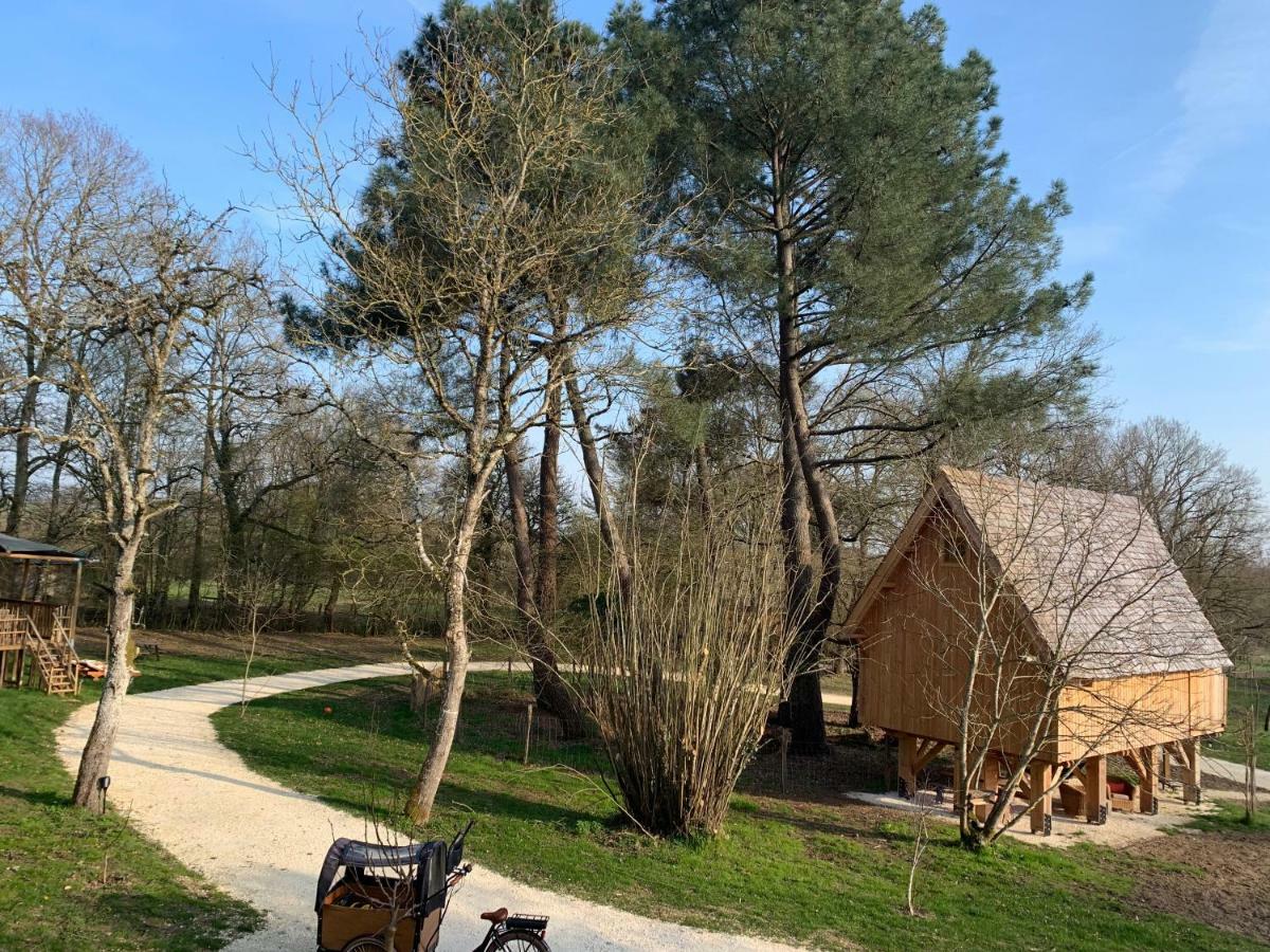 Ecolodge Beauregard Treigny Exteriér fotografie